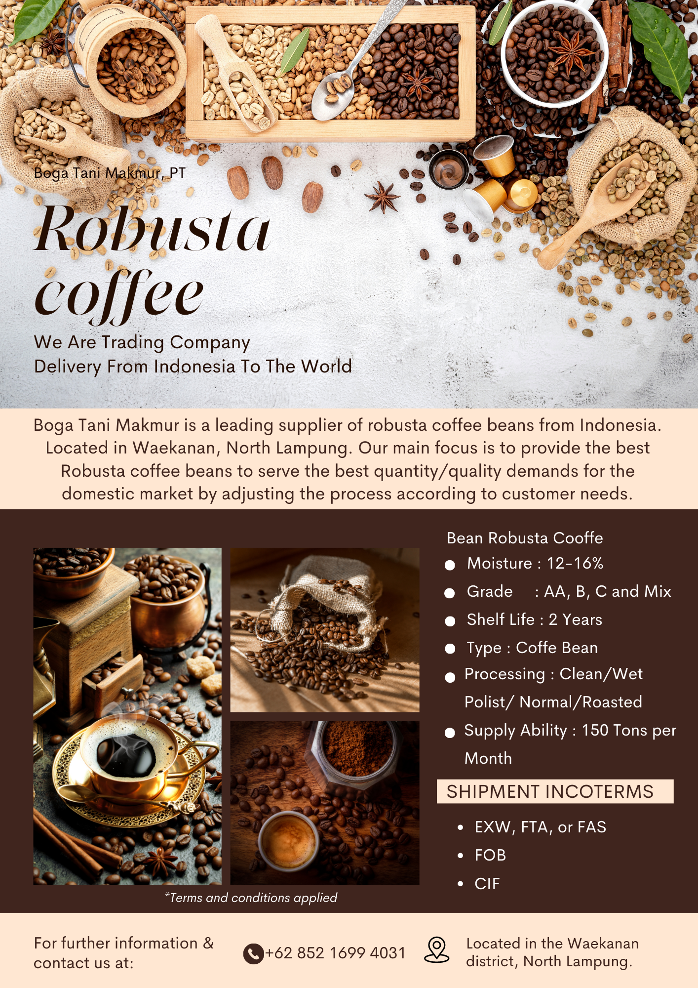 Robusta Coffee Bean